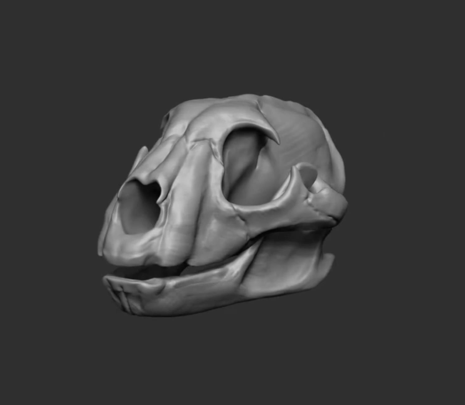 2022-8-25-动物解剖学与zbrush雕刻part2